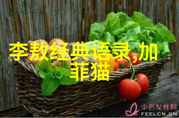 中国古代的伟大统一者秦始皇与汉武帝