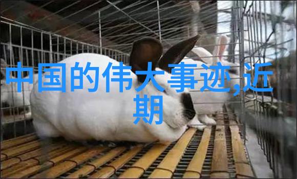 宫廷风云中的智慧抉择探索甄嬛传中女主角的内心世界