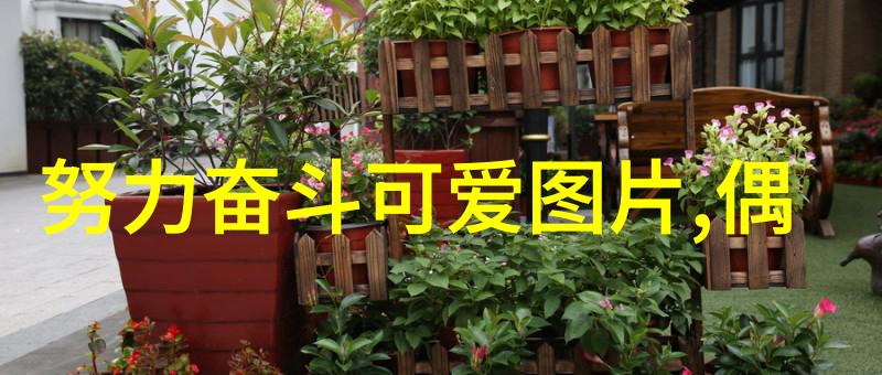 真正的友情是两颗心在代码的默契交响中共鸣