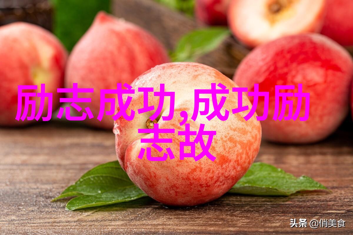 勇敢追梦的人生旅途我们该如何面对前方的迷雾