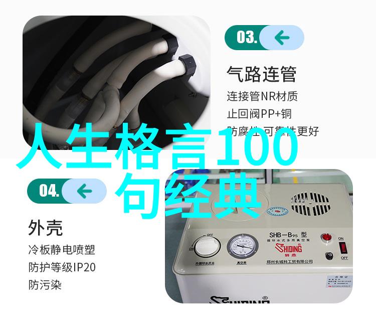 梦想起航一位中学生的音乐梦之旅
