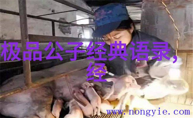 梦回佳期爱的旅途