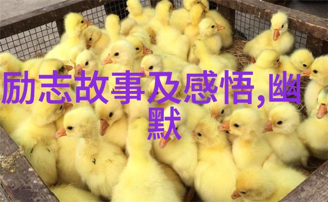 回望过去那些被遗忘的故事又将如何平静地沉淀在心底