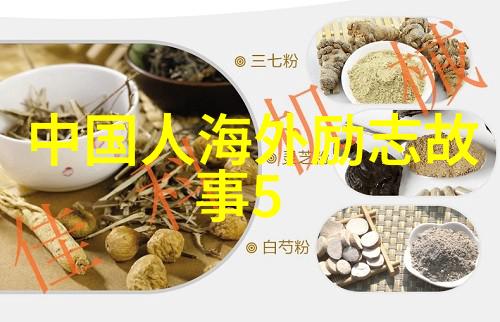 如何通过分析小新的对话来了解他的个性和兴趣爱好