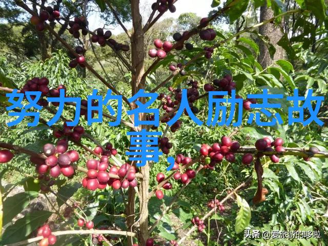 励志故事-李雷以席慕容经典语录点亮人生的燈塔
