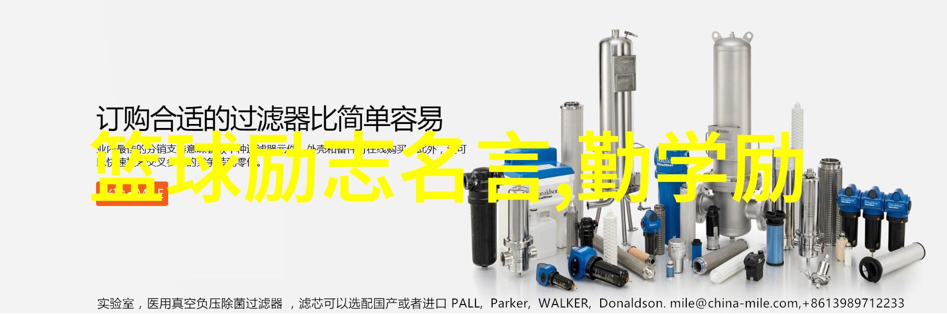 偶像背后的故事揭秘名人生活的真实面貌