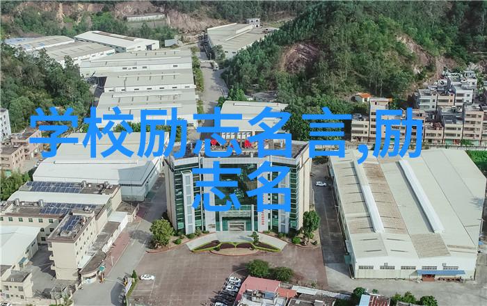 采蜜1V1H方橙采意-夏日蜜源之战一对一的挑战与收获
