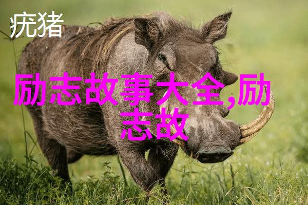 命运交错缘分相逢剖析历史上知名情侣的事迹