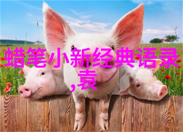 跨越时空的启示学习那些改变命运的中国领袖