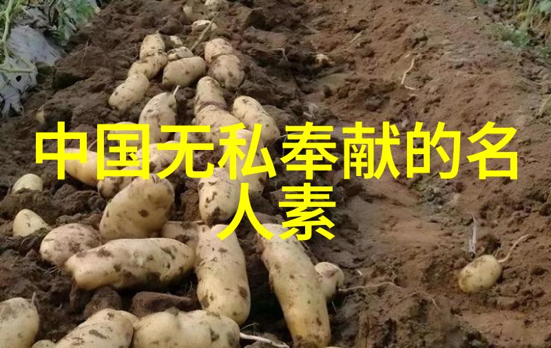 不屈不挠的精神那些经历失败却依然坚持前行的人物有哪些共同特质