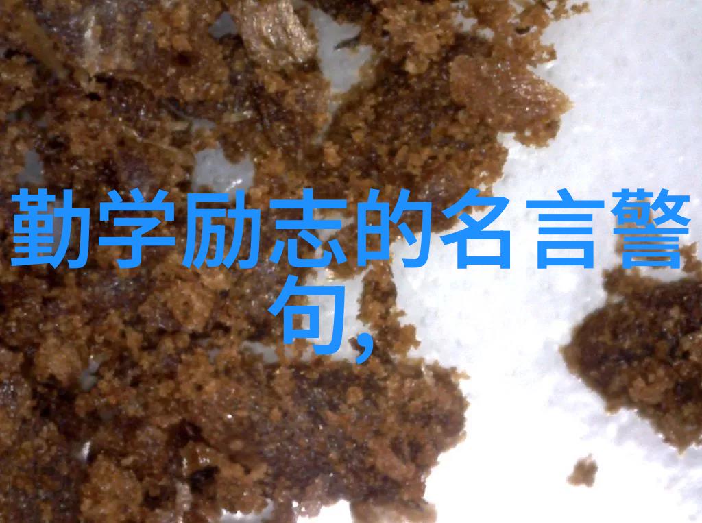 中国最励志女人李准教授的坚韧人生