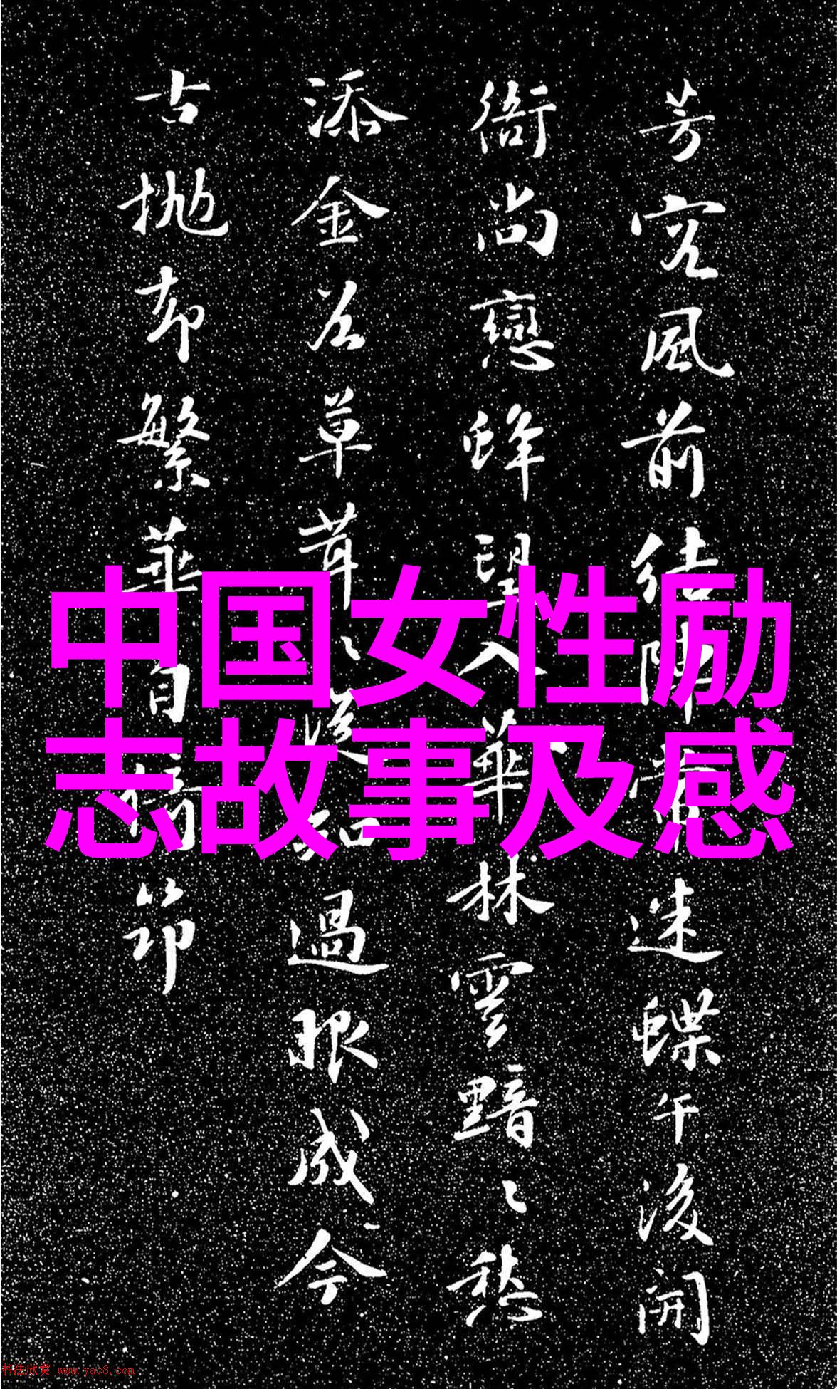 真正不收费的交友软件有哪些三国志12威力加强版闪退大揭秘