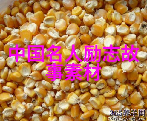 逆袭学霸从考砸到高分的奇幻之旅