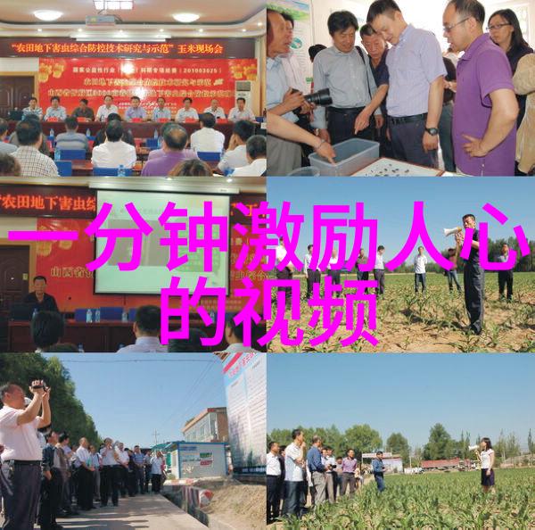 天空之城与梦想追求如何理解那些让人回味无穷的话语