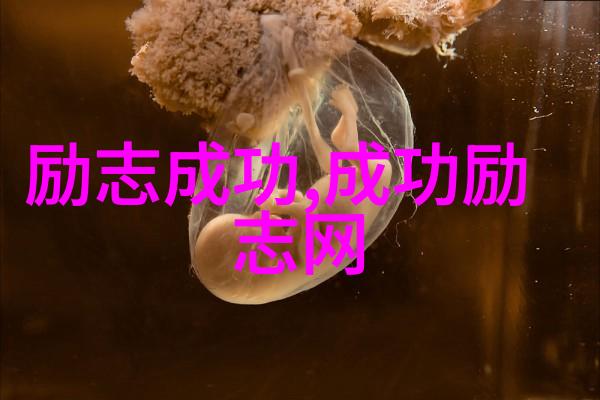 点亮希望之光一分钟激励你前行的力量