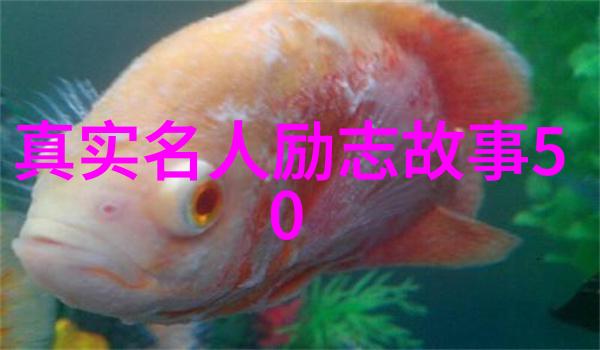 创造奇迹的人生历程有什么特质使得某些身心障碍者成就非凡