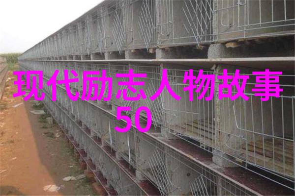 旷野里的雄鹰与小草的故事
