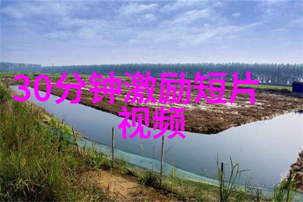 梦想成真的秘诀张艺谋导演的心路历程