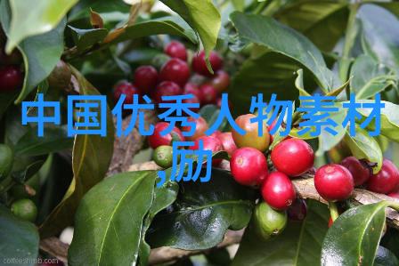 笑对人生创造奇迹一个不屈不挠者的故事