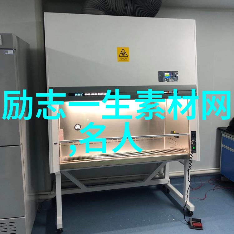 主题我见过的最励志残疾人故事从轮椅上的飞翔者到天空中的自由翱翔者