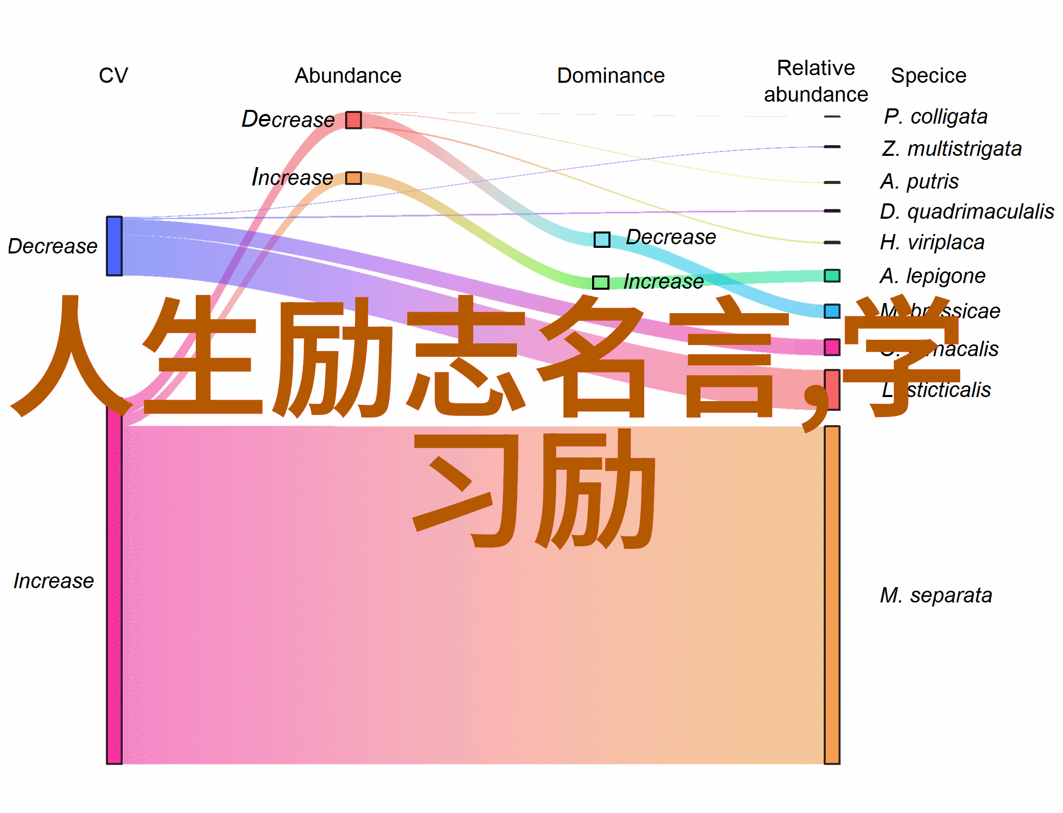辉煌人生从零到英雄的逆袭之旅