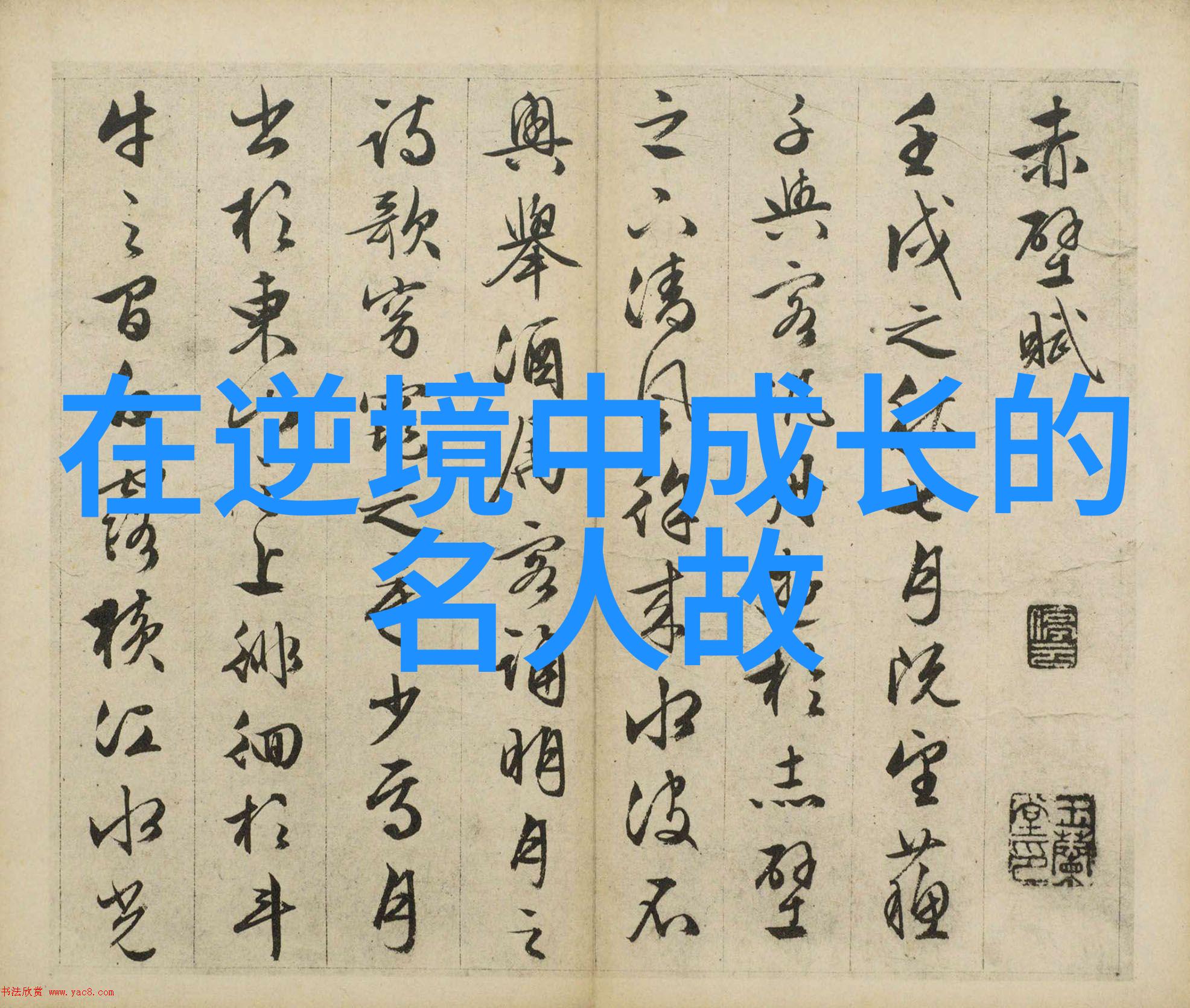 逆袭从街头小混混到硅谷巨擘的奋斗史