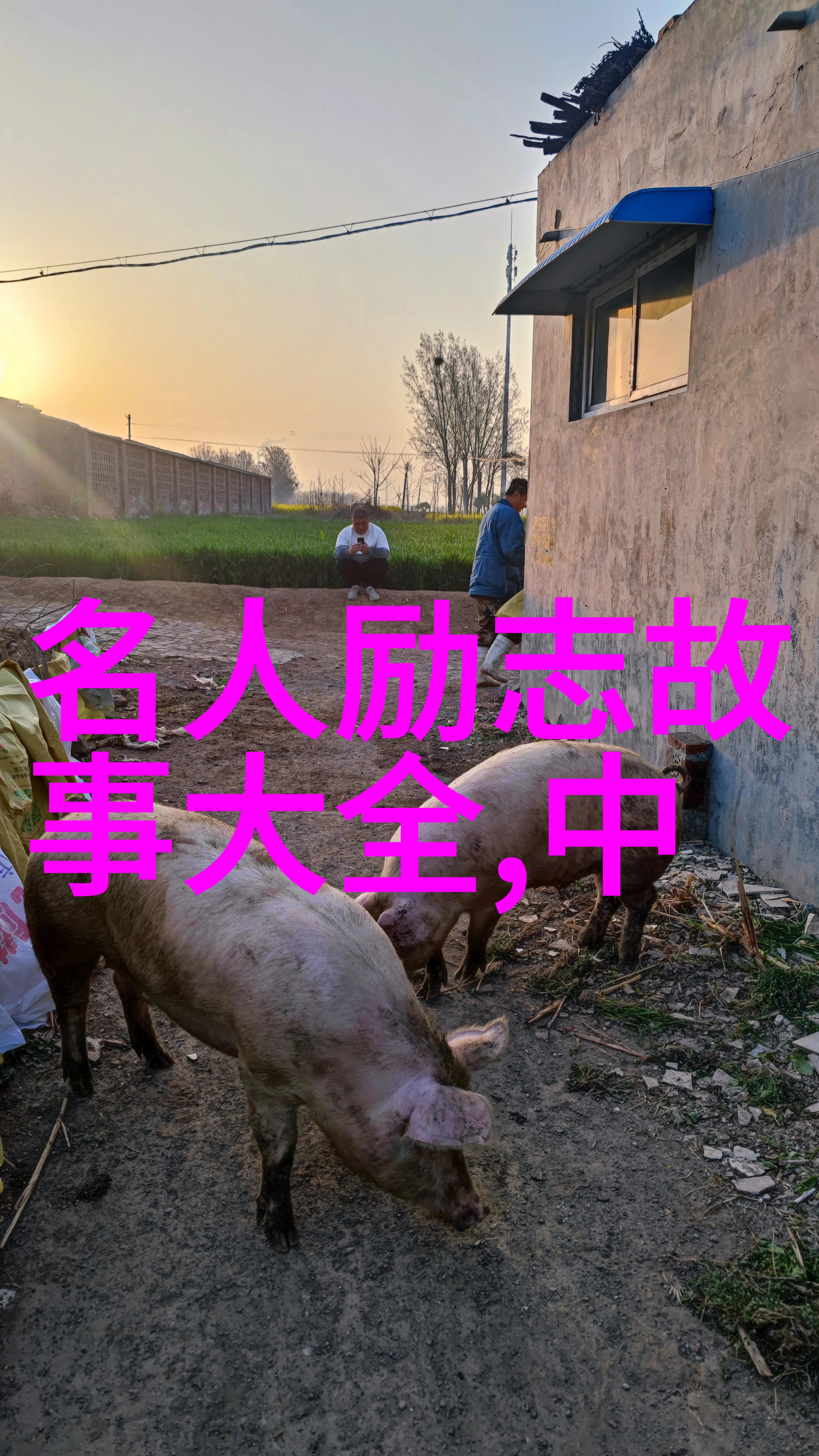 李连杰武侠演员与内心修行