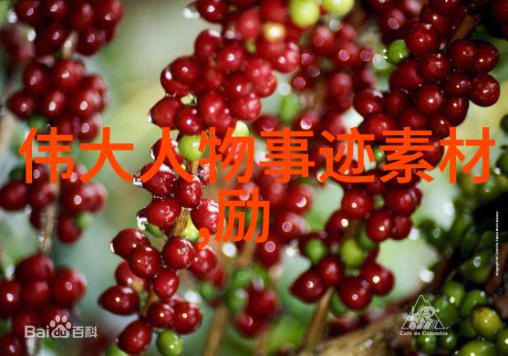 逆袭青春从梦碎到星光闪耀