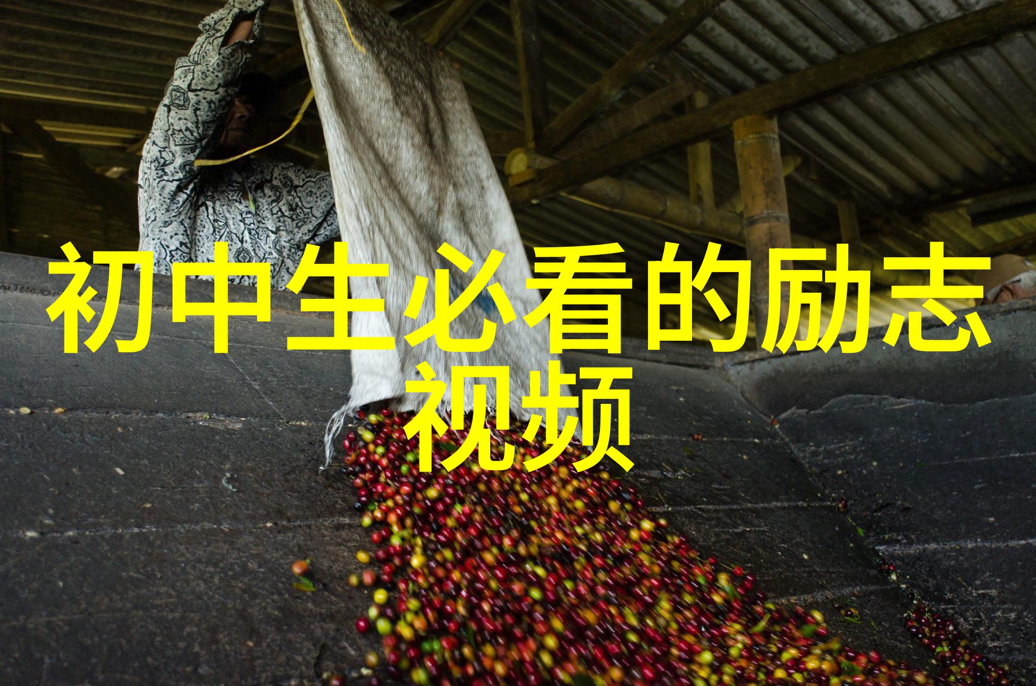 心灵的灯塔分析他从火光中走来的深层含义