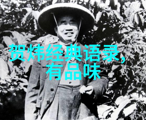 逆袭之星一个小女孩的坚持与成长