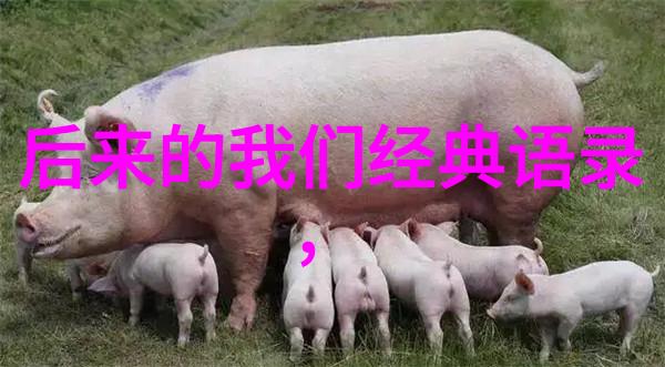 情感纽带蚂蚁庄园的温暖回忆(2021年5月15日)
