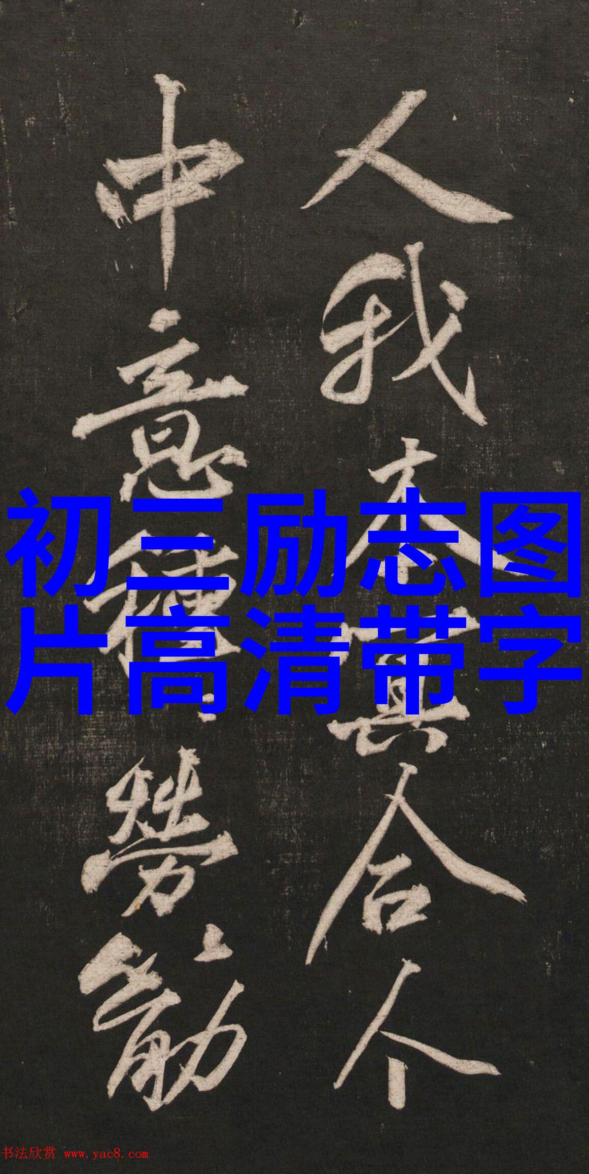 守护森林绿色行动中的草根英雄