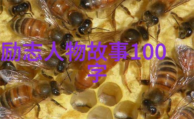 理想与行动相结合如何把梦想变为现实