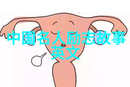 从零到英雄中外人士共同创造的奇迹故事