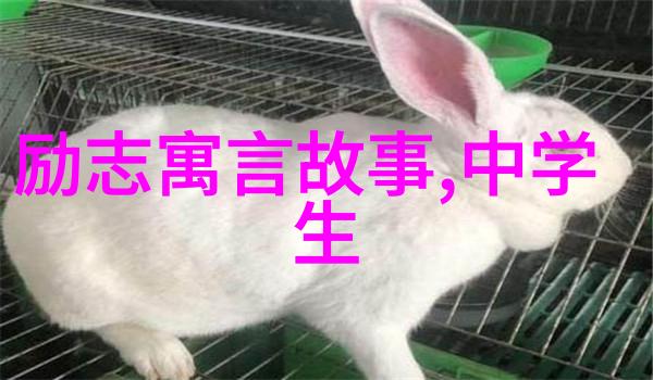 励志小故事大道理活到老学到老我是怎样从失败中找回信心的