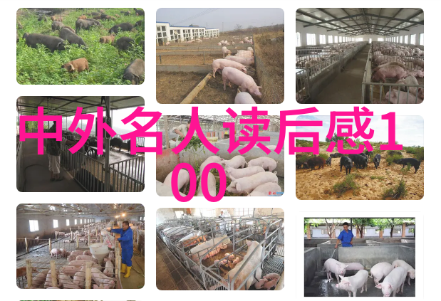 笙箱默中的人生不容易你要珍惜每一个瞬间它代表了作者想要表达的哲学观念是什么