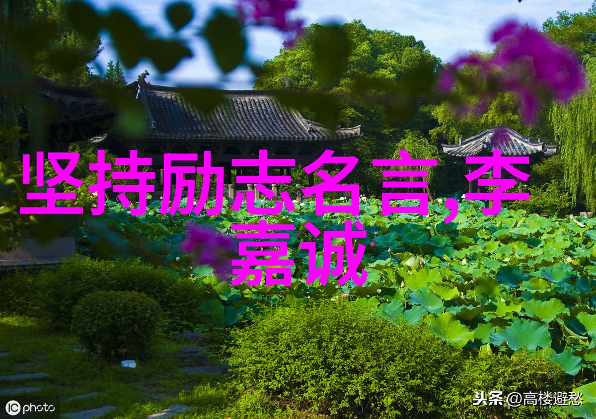 金梅瓶下载