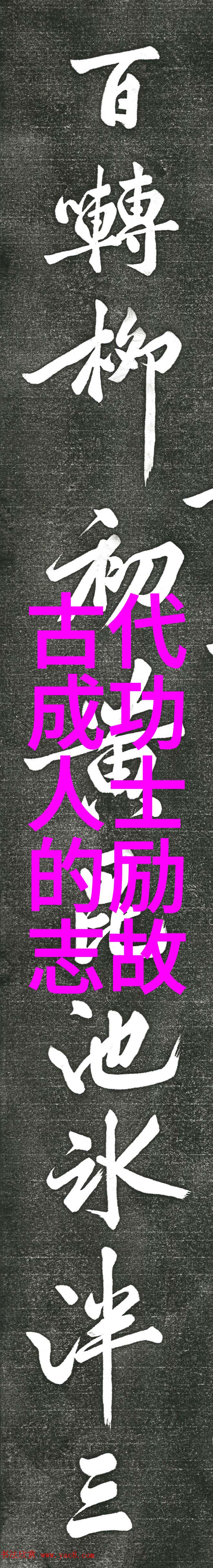 从古文辞赋到现代小说王安石的一生学习史