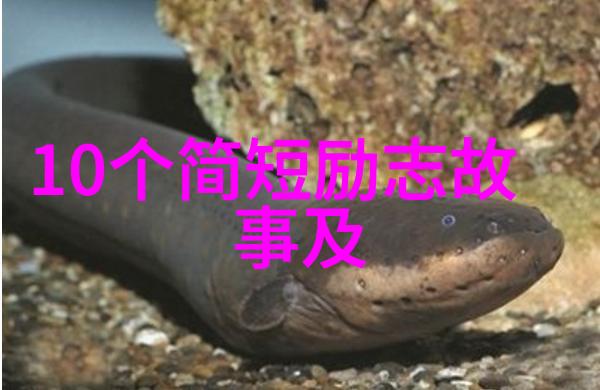超凡脱俗之路探索欲成仙的文化内涵与现代意义
