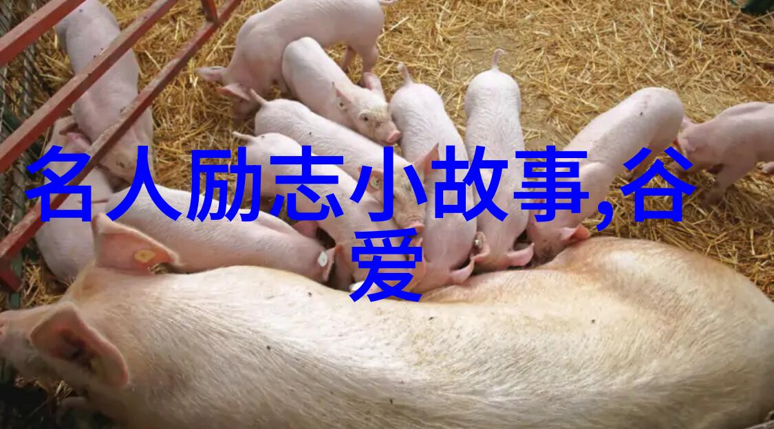 逆袭之路从废柴到成功人的哲理故事