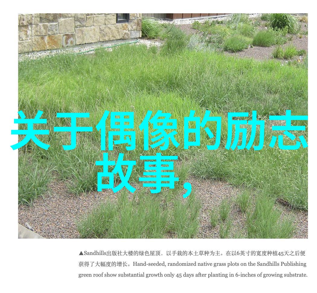 爱情公寓经典语录回味那些曾经的笑声与泪水