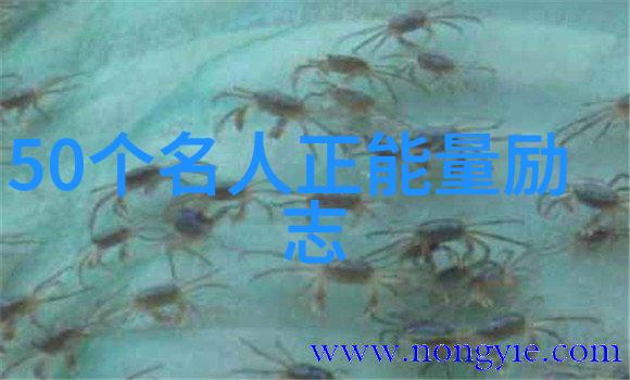 村上春树的智慧之光解读其经典语录的哲学深度