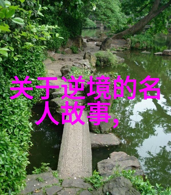 名人背后的书香中外智者阅读历程的精彩篇章