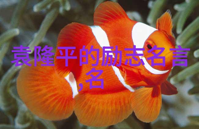 在大自然的怀抱中精选3句撩硬男生情话套路教你如何一句话就把他撩硬
