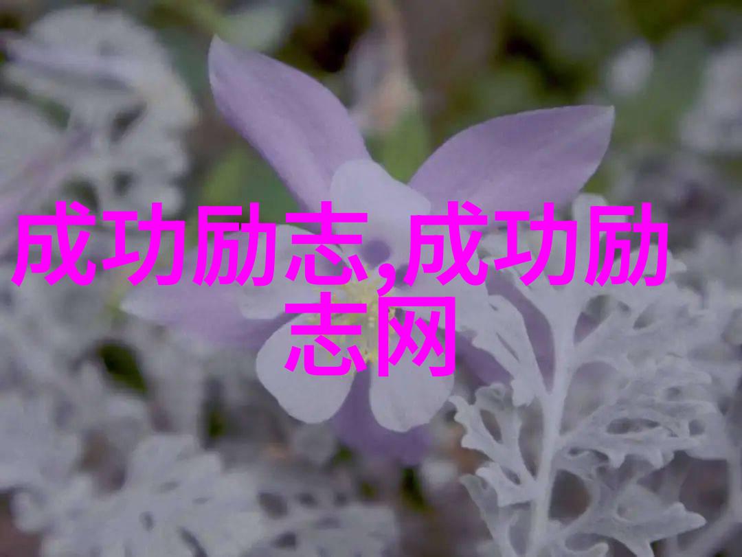 努力拼搏不易我是如何从失败中站起来的
