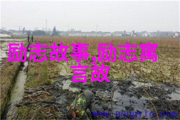 火焰与影子他从烈火中走来
