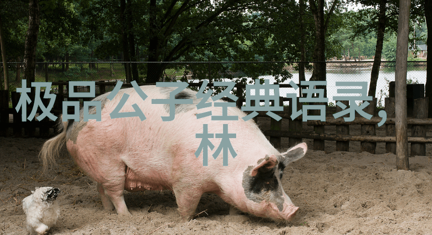 跳槽谨防三大误区