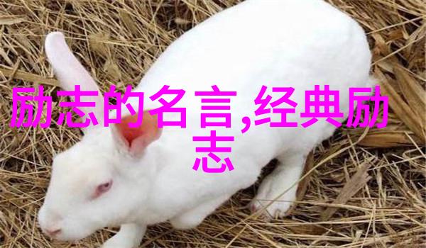 cf好听的战队宣言