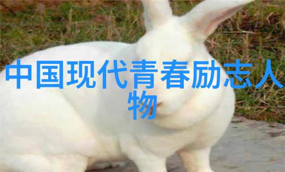 编织语言的魔力一句话经典语录背后的故事与智慧
