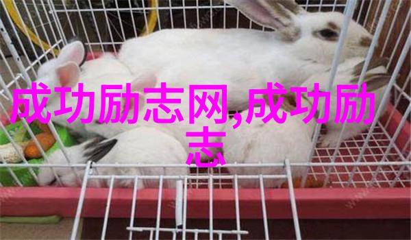 你心疼了吗这39句简短的留言语录能让你看到空间的心情